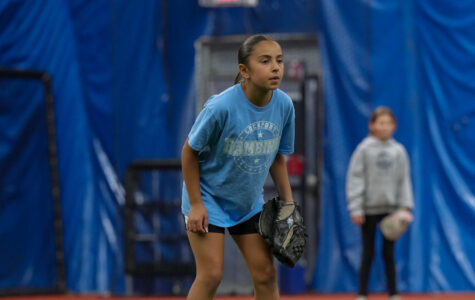 Softball Infield Christmas Camp