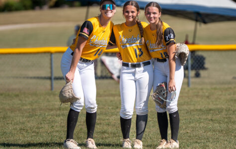 Cheetahs Softball